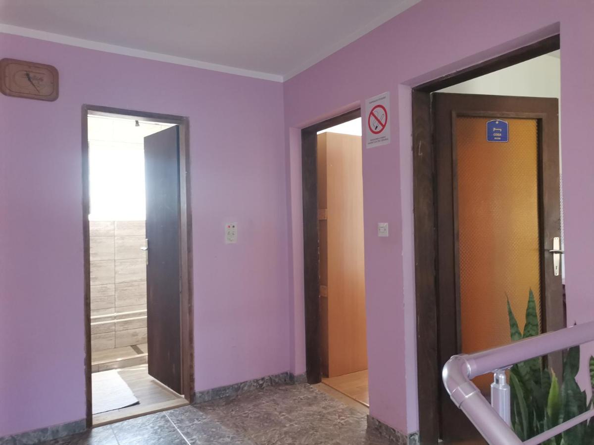 Smestaj Urosevic Golubac Εξωτερικό φωτογραφία